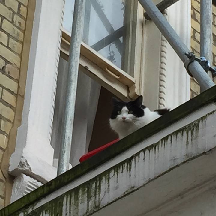 943ec494 0249 4b6c 9f77 5d253de309f2 1523777962755