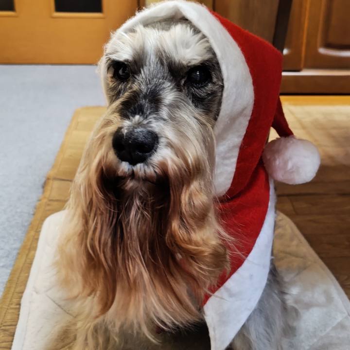 943ec69e 4c03 46ed 95fe 9d61b7421afc 1766644977960