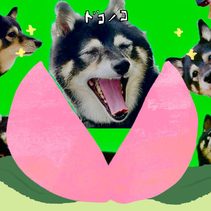 943f371f 8ad9 4223 8608 bfdd867d4ebc 1771816276237