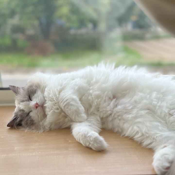 943f41b2 fb45 47af ba77 47da5d22e7a0 1721595380918