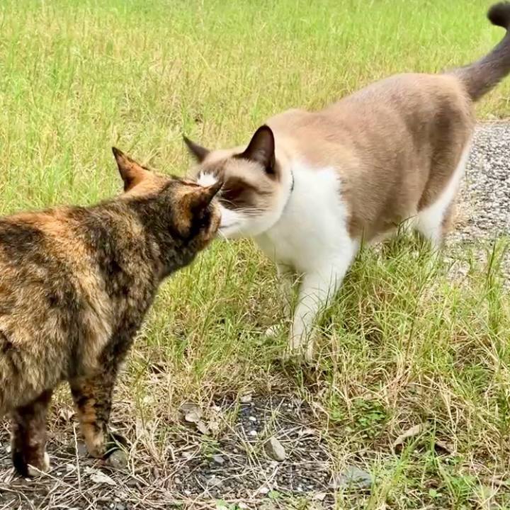 943f8400 03eb 4865 b288 4864f6af3f97 1730346745572