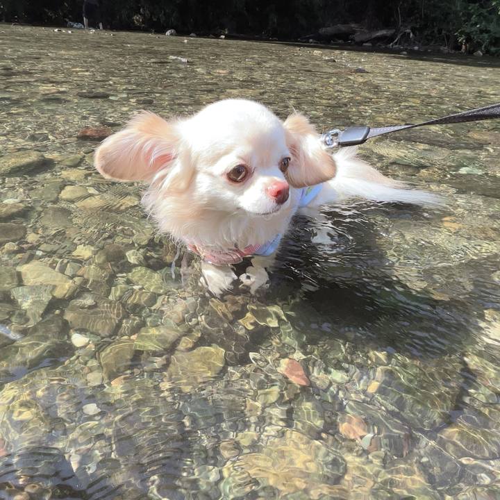 943fa21d f10f 4efb 82e5 0254324c0522 1755177992072