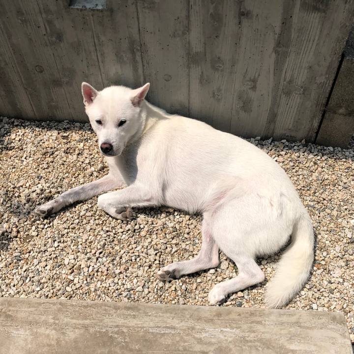 943fd19b ed1f 4763 8d1a 5986b9a78dbb 1597980758605