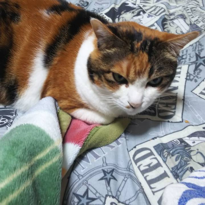 943fd543 f4c3 4ec9 9430 a01587940d9e 1570744548444