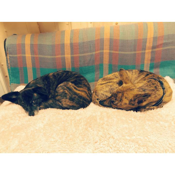 943ffdad d1f9 493a 98ab 2ef5ee79be28 1576682626067