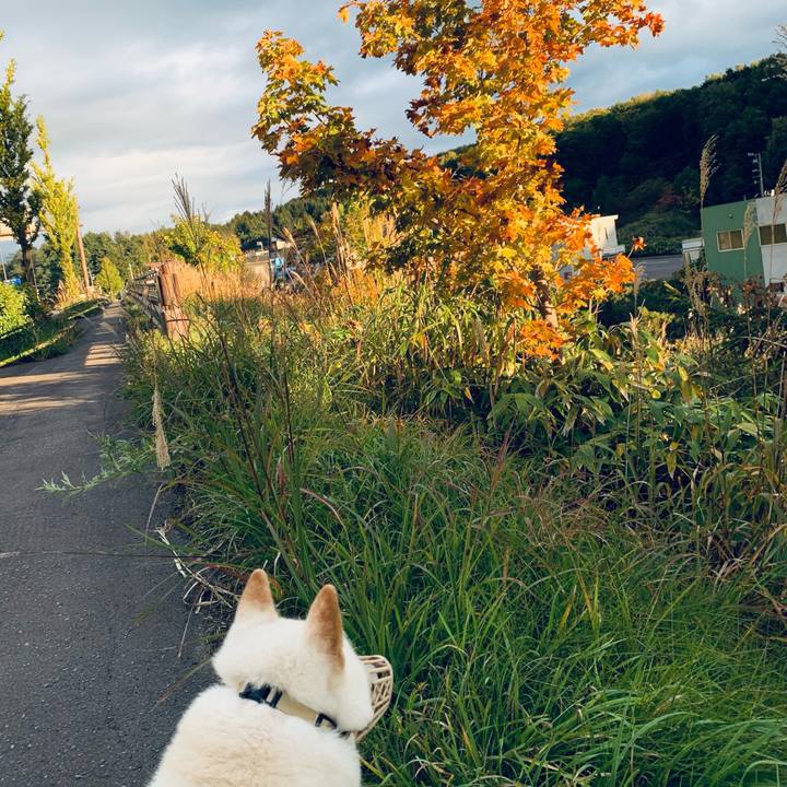 944002a1 7dc7 4905 9dfb 2c55b18ee13f 1602370335655