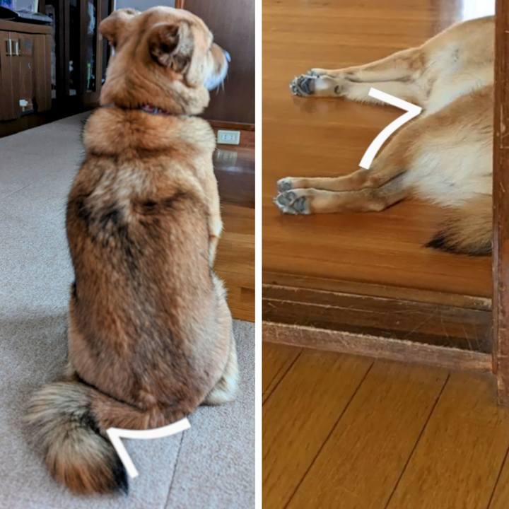 94402ee2 5dcc 4b29 8bed 67b017199837 1686239803741