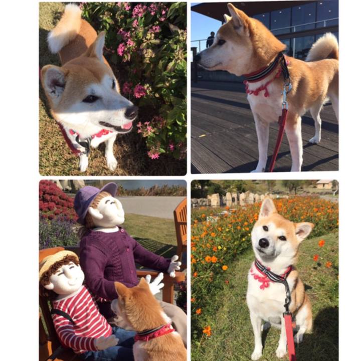 94404441 87cf 4e77 8725 cf3612b76549 1511256924638