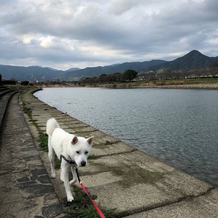 94404870 30b5 42d9 8852 eef3e3c5fb1e 1552690471449