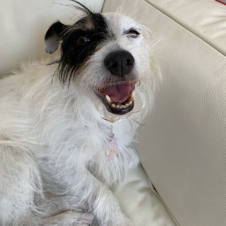 94405542 810b 48df b803 5d6163a5088f 1659415194312