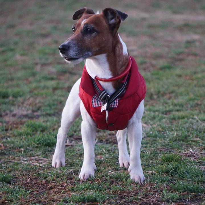 944075fc 8939 4a1b 862a df47d6da87ef 1581461516961