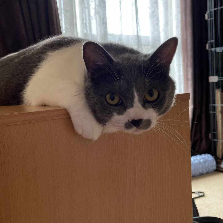 94407ed5 d390 42f0 8f0c f4957de073f6 1661985081125