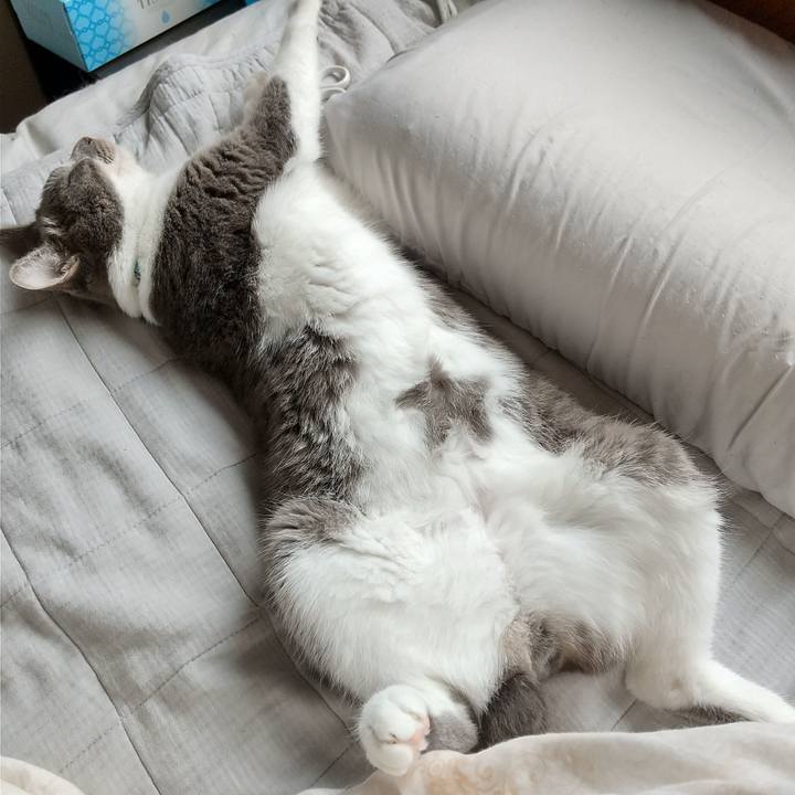 944087a0 196e 40c3 a024 ffdee3c48594 1630812314587