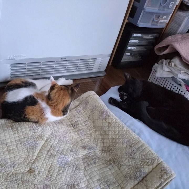 9440ad85 7ec0 4b1d 9d02 645e1d35e41f 1763628849560