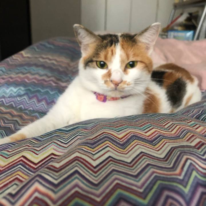 9440ec36 5867 45ac a613 85f21b5522ad 1603755153519