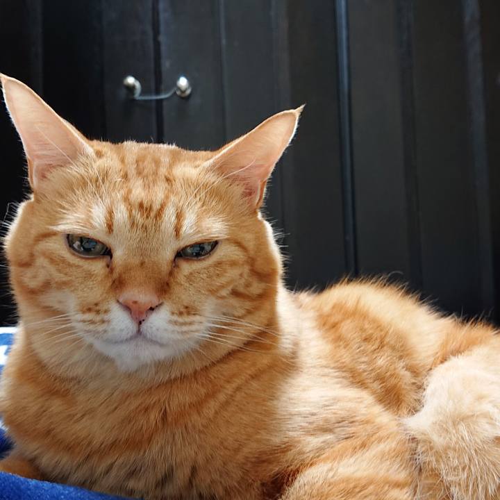 94411f2e 97de 4baa 9d6b f6dd8d904ee1 1542639417127