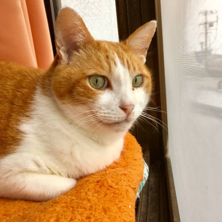 94415b2a 4dc1 4279 ba60 4b08ecb1a826 1563781021240