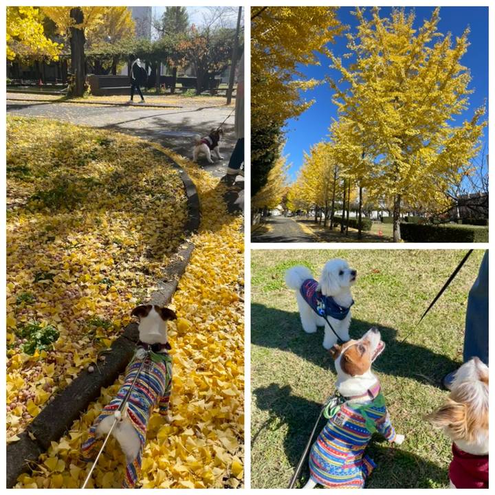 94417da7 0185 4141 a31b 652c91889770 1763189911778