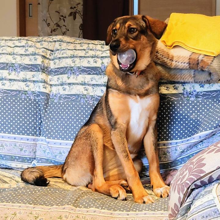 944182a0 be01 436b 9a19 f1aeb693c3ee 1688207862815