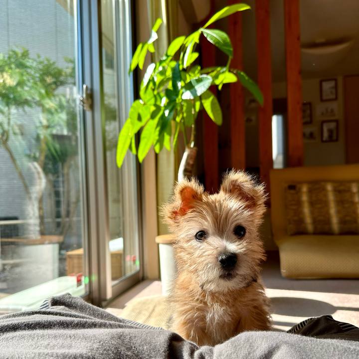 9441a541 c5a9 4e22 9284 024d13da9ed8 1701061826299