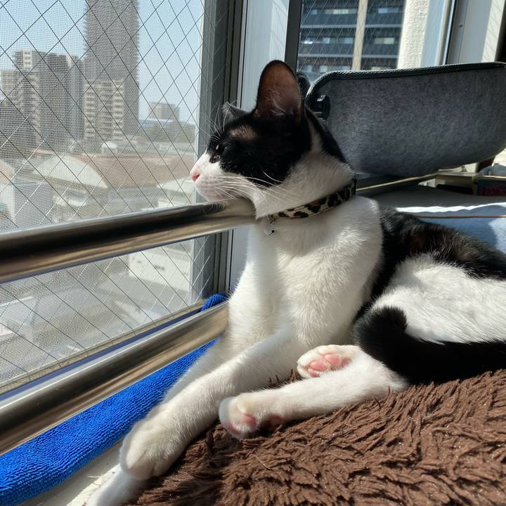 9441be35 cce6 42ac b198 db63877604f5 1741492375614