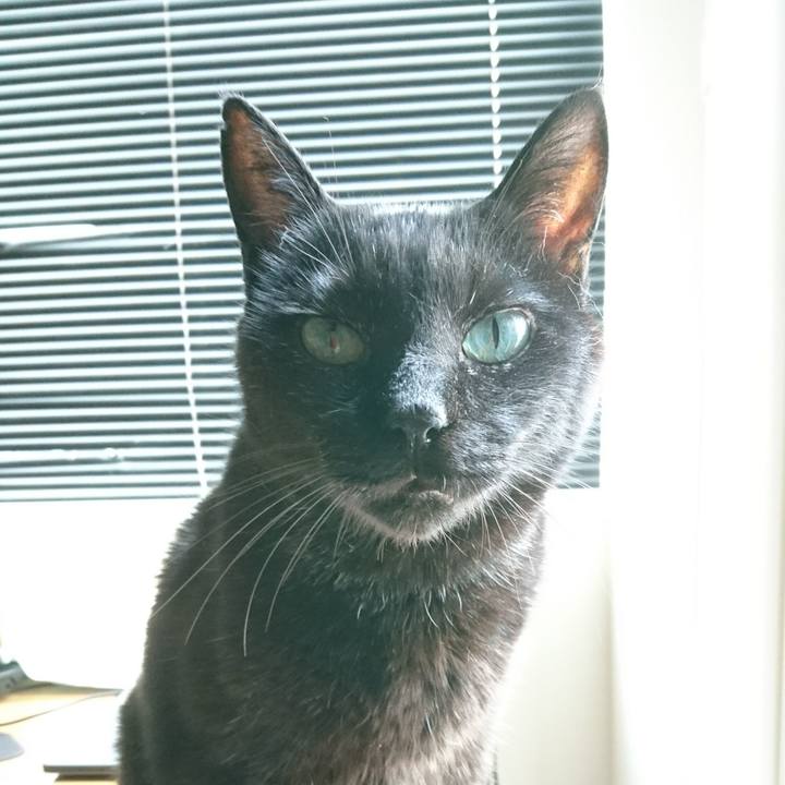 9441be8f 7a3a 4516 a963 244e00c1ab40 1568333459542