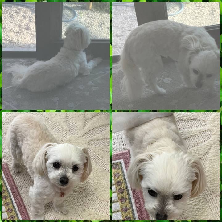 9441cf1a d73a 4a1b b0c8 fb8f9700698b 1681987654609