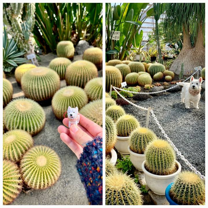 94421eb5 872f 4dcd 9dc0 e591efc932a4 1774060921786