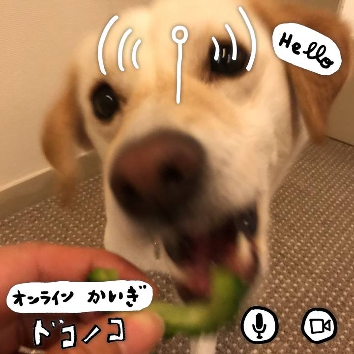 944244dd f95f 46e5 8b2a 74bc97e04ec8 1590920355484