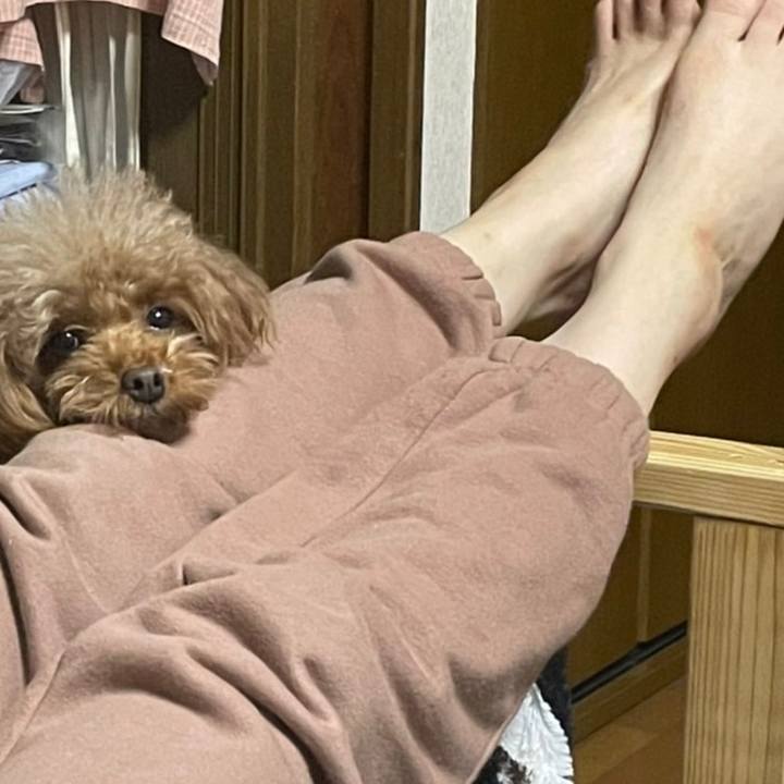 94425469 732f 4504 b002 1a3f38dd8df7 1637245394709