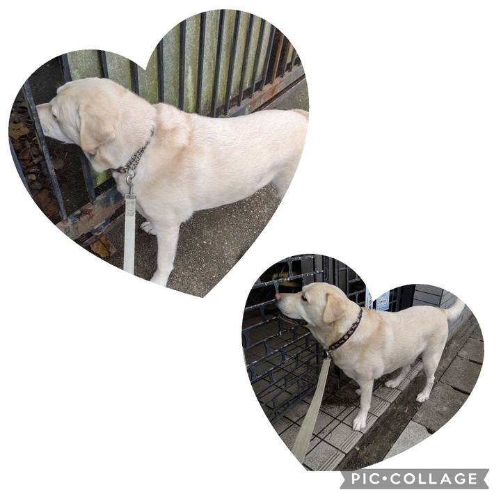 944254aa 861c 4c56 ad54 c9a5daf9ab73 1695449178029