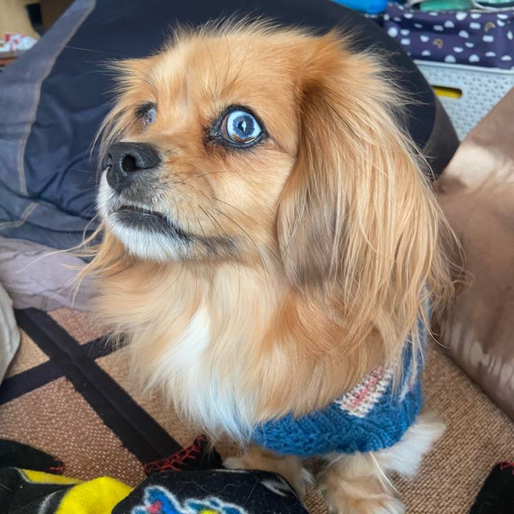 94425afe 0dc5 4ed0 9a92 d76c83f88219 1581379956929