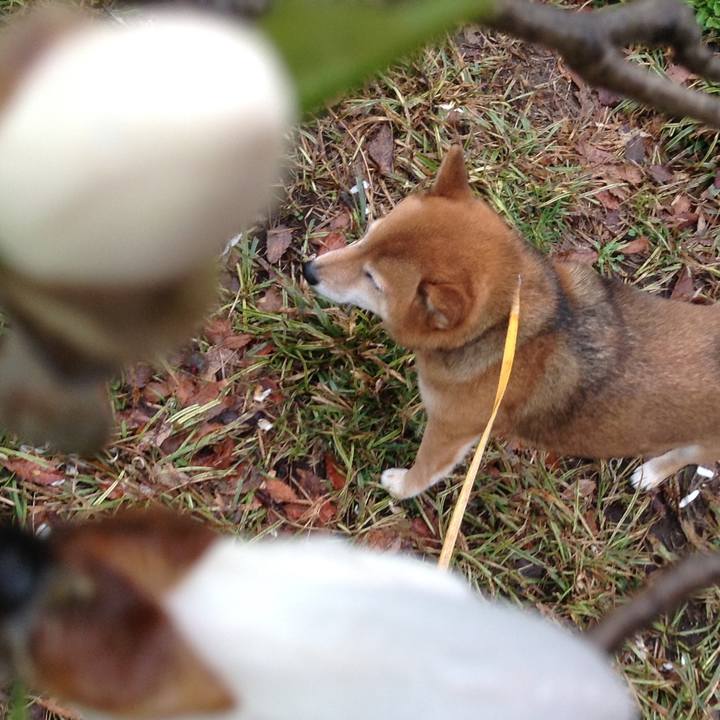 94428c86 c9b7 4f71 92d7 2f2947416bde 1521635321123