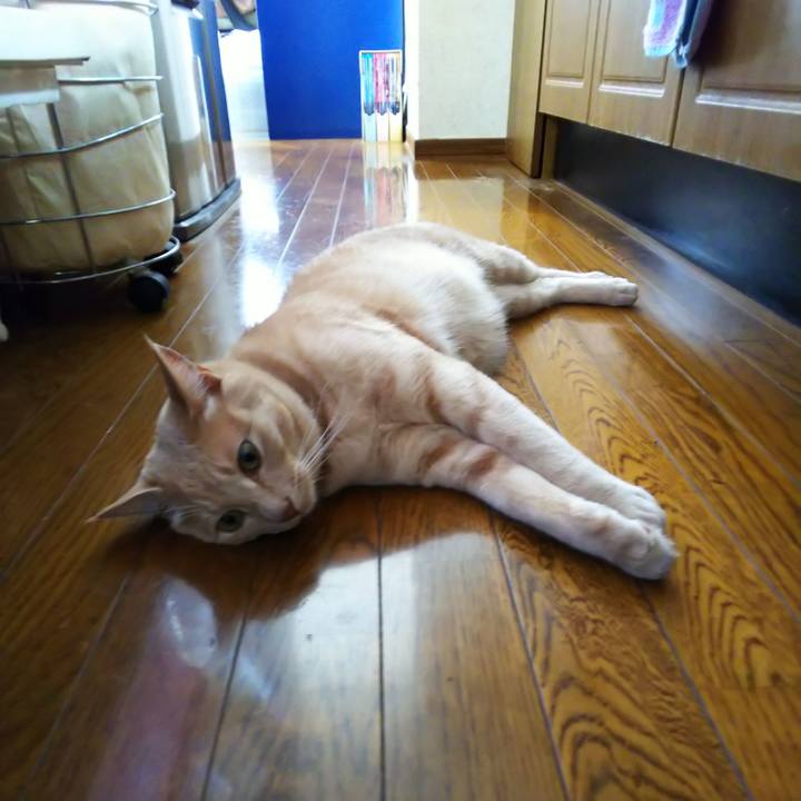 9442caa1 f798 4a7e 9c7e 933a793bdd41 1594517801976