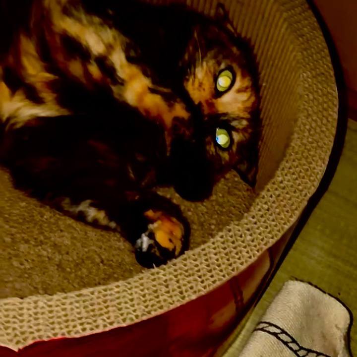 9442e4d0 1ce4 419f a017 6c5a72502005 1754252887551