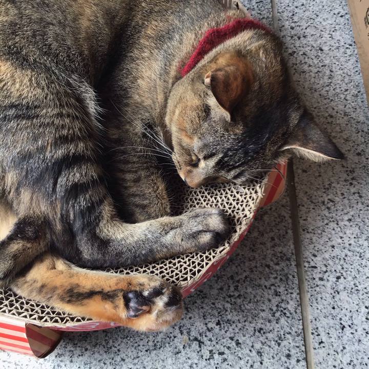 94430250 1cd6 41e3 95e9 5b1d167233f4 1599555402982