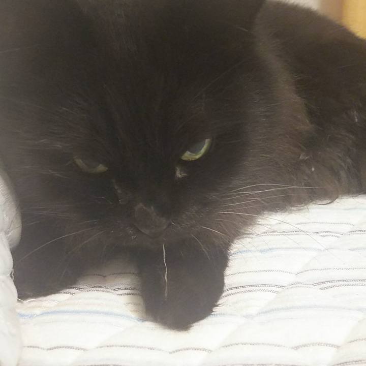 94431c26 d0d6 4989 9a00 73d0ca351866 1536757179180