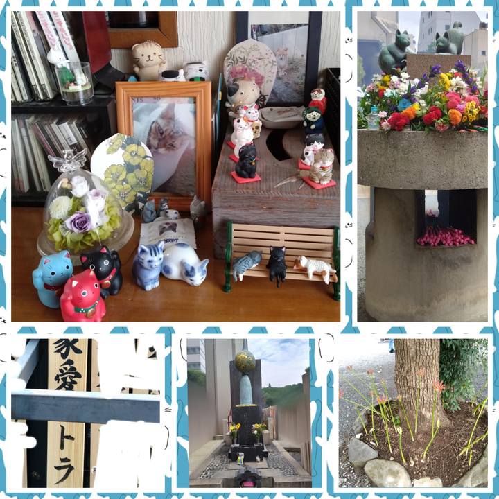 9443254a 790f 4be7 abff f4dd801f461d 1758342316069