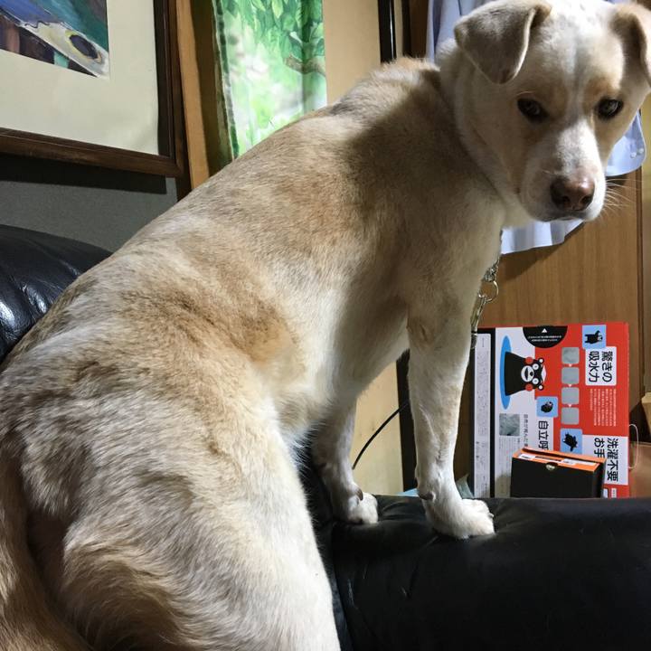 944328db be58 48fa bd1a 16c23c48d038 1516433410648