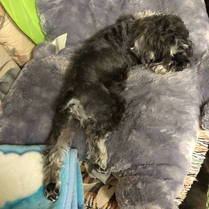 9443410e d7da 4497 a362 fbb3c6d5b2b5 1529246124460