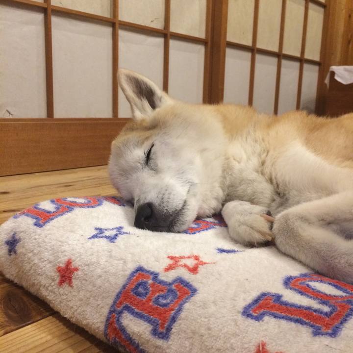 94435bba 3716 4711 8b1c e8b15ae70b21 1592489155593