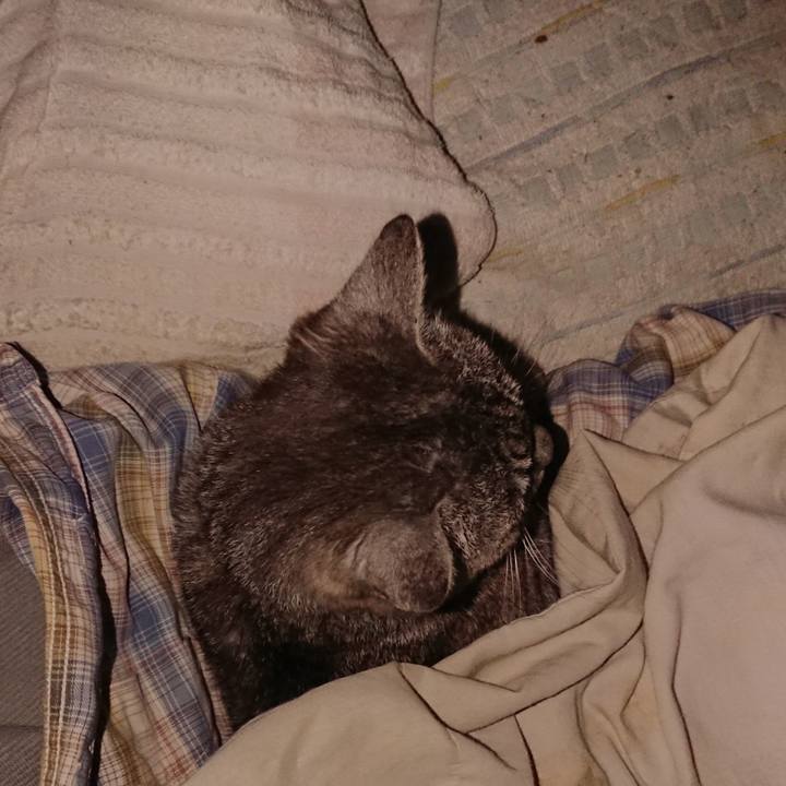 944362c1 4bd2 4328 a043 674cbe688505 1570650817825