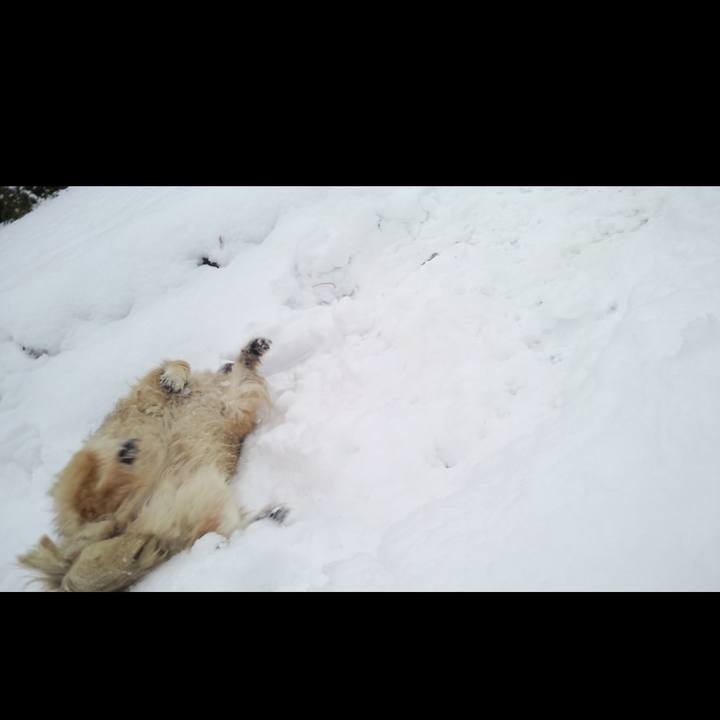 94436fe7 90c5 4c4a 91bd 75766512269d 1636689875169