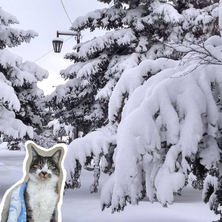 9443a768 cf53 4fca 87fc cb31772236dc 1767884023092