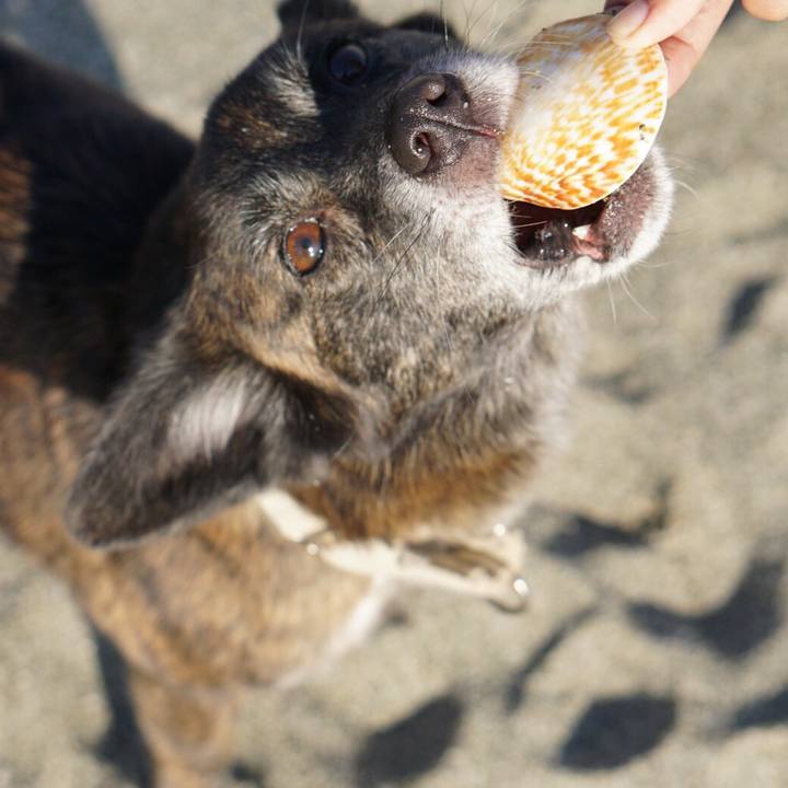 9443b834 7da8 49e2 8669 73c967668001 1585626737069