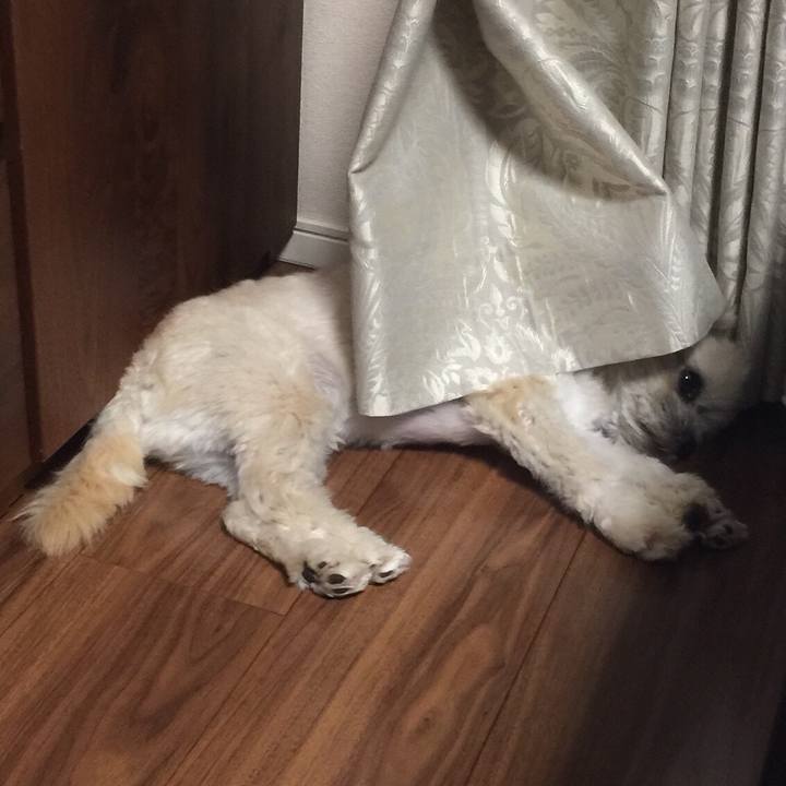 9443d79f 4932 4e20 a2a4 cbc2f96d018c 1533556414301