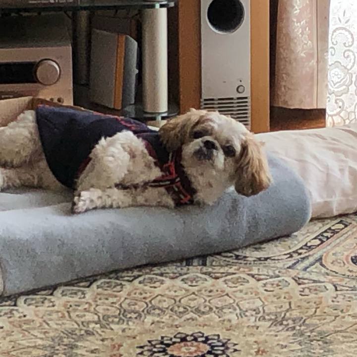 9443ea0c 153e 4382 aa58 c9c97f5bed74 1603403490611