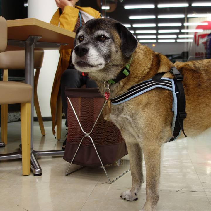 94440a8d 5e3e 4b21 bdce d974547ffaa3 1618881753739