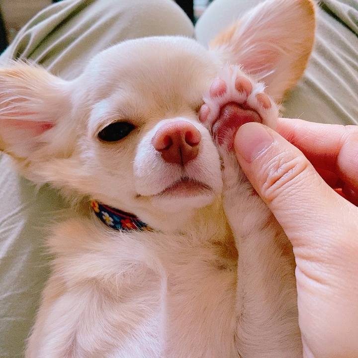 94441071 180e 4e32 a0dc cf097d85ecd8 1630727692112