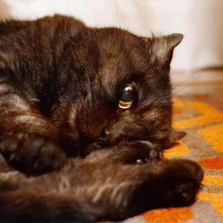 94443b2f 95d7 4e31 9bcd b67b8720e744 1626968126802